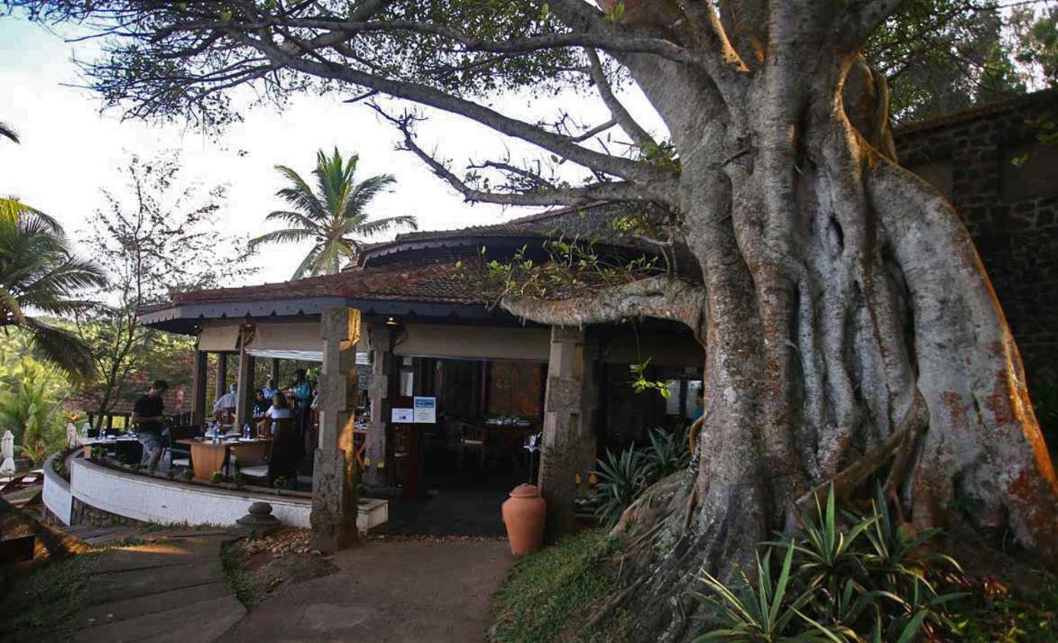 Niraamaya Wellness Retreats, Surya Samudra, Ковалам Экстерьер фото
