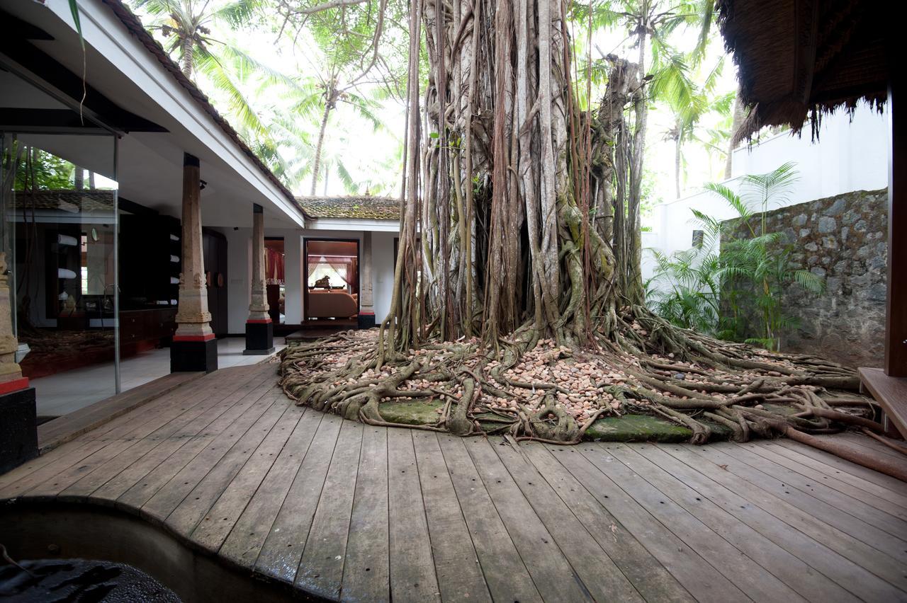 Niraamaya Wellness Retreats, Surya Samudra, Ковалам Экстерьер фото